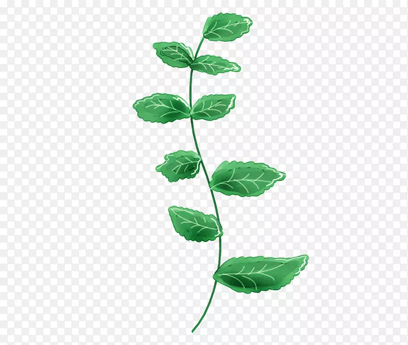 ����С��ֲ��Ҷ��-������