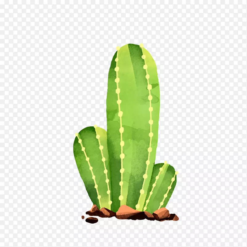 �ֻ濨ͨ����������ز�-������