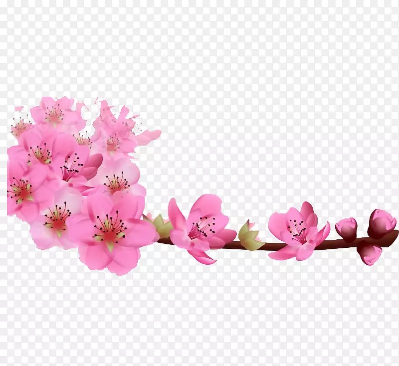 �������ŵ�ӣ��-������