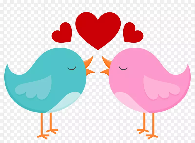 �����������˽ڰ��������-������-������