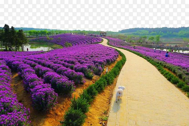 Ư������-������