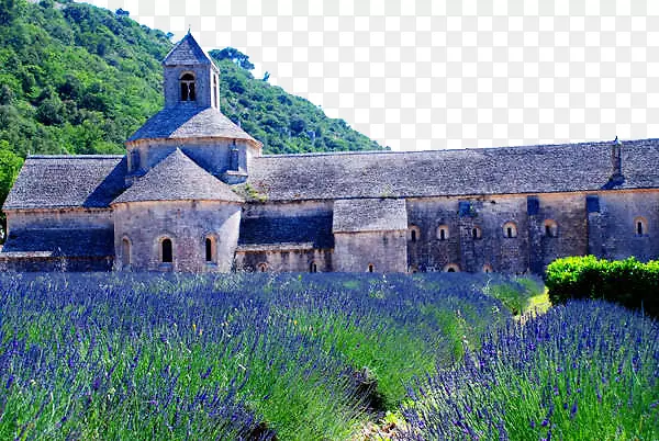 ����Ѭ�²�ׯ԰-������