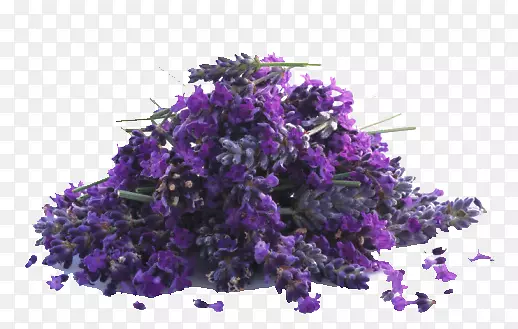 ����Ѭ�²�-������