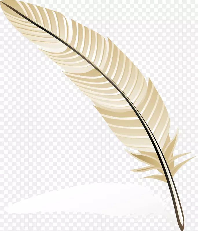 ��ëpngʸ���ز�-������