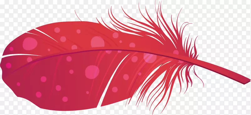 ��ëpngʸ���ز�-������