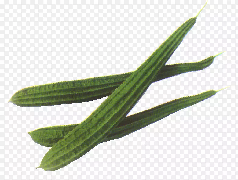 ��ͨ�ز��߲�ͼ��-������