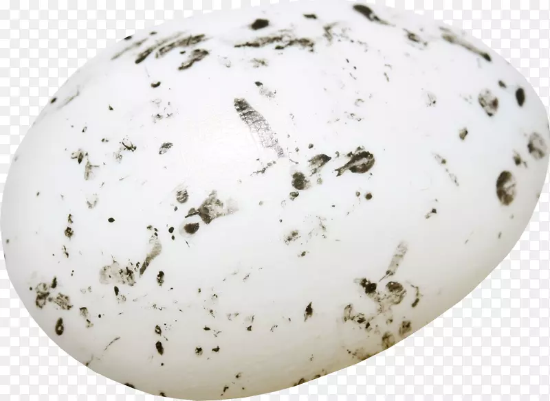 ʳ���ֻ�ʳ���ز�-������