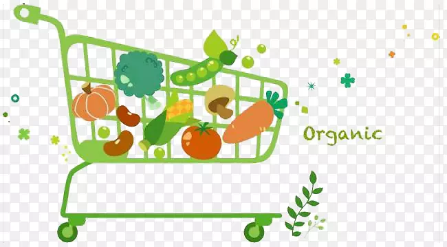 װ�ڹ��ﳵ��������߲�-������