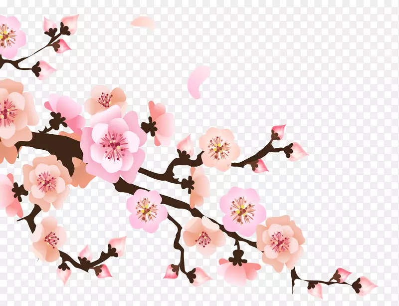 �ֻ濨ͨ��ɫ�һ�-������