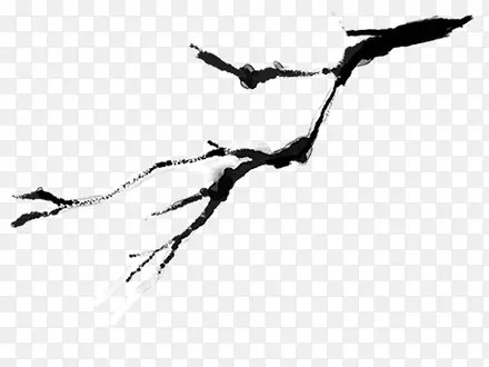 ��֦�ز�-������