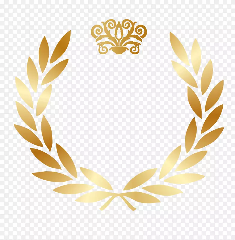 ��ɫ�Գ���Ҷ����ͼ��-������