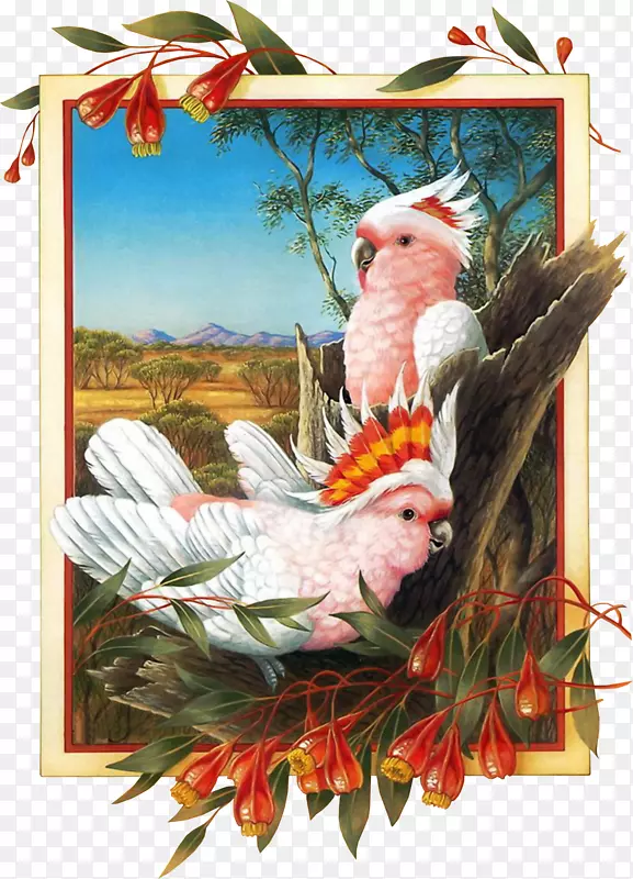 �ֻ�����-������