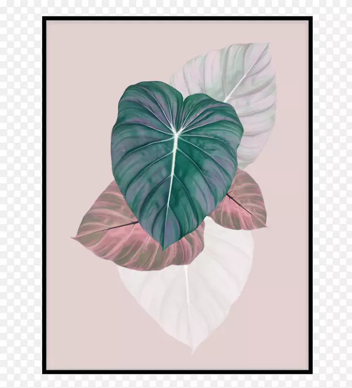 ���Ҷ������װ�λ�-������