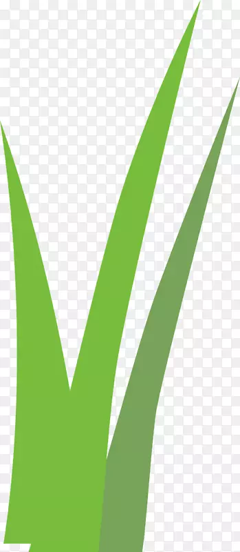 С��ˮī���ֻ�С��-������