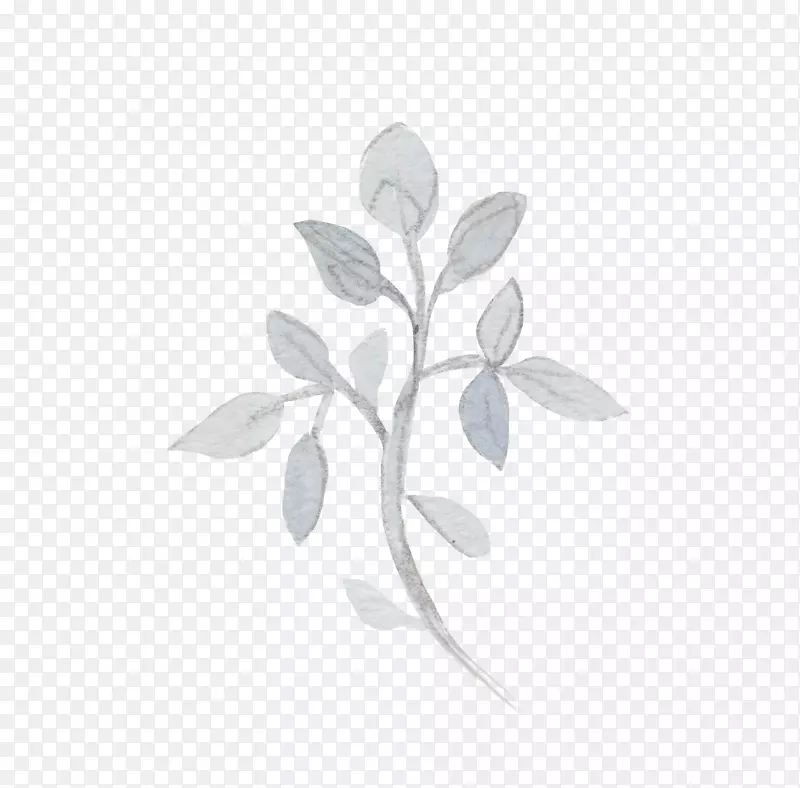 ��֦-������