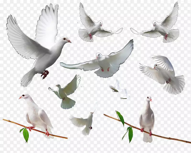 һЩ����-������