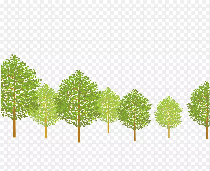 ��ɫ����-������