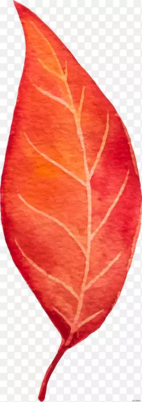 ��ͨ�ֻ��Ҷ-������