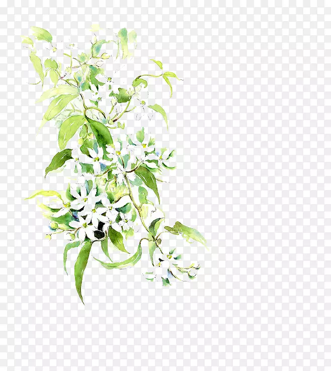 ˮ�ʻ���-������