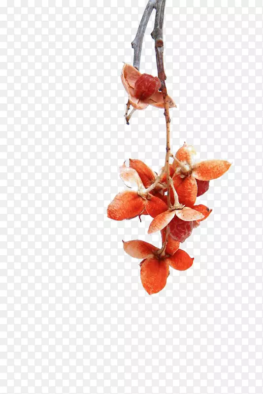 ��ɫ�������Ԫ��-������