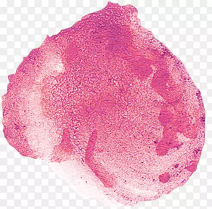 ����-������