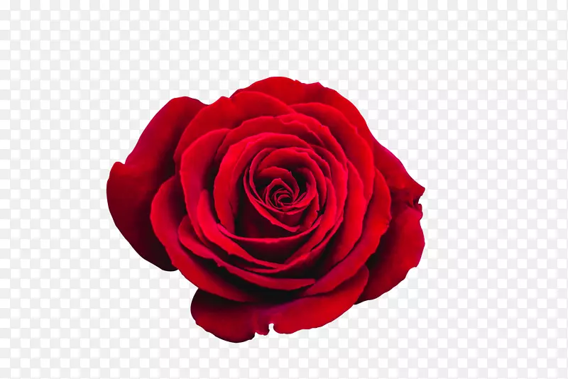 õ��-����õ��-������