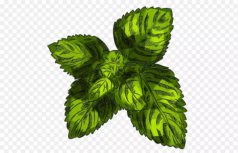 ��ɫ�������߲˹Ϲ���廭�����-������