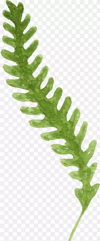 ��Ҷ��֦�ֻ�-������