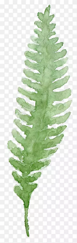 ��Ҷ��֦�ֻ�-������