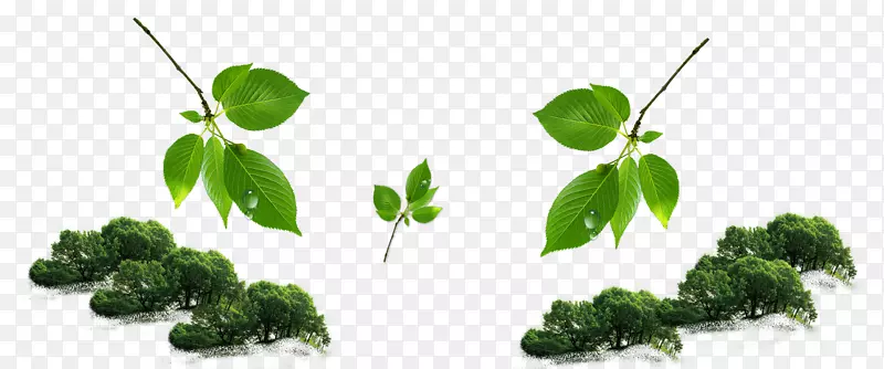 ��Ҷ �� ��ȻԪ��-������