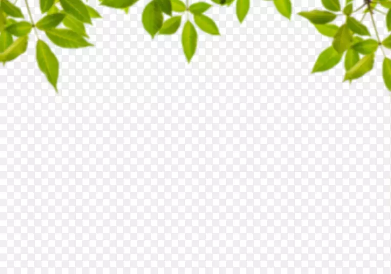 ��ɫ������ɫ��Ҷ-������