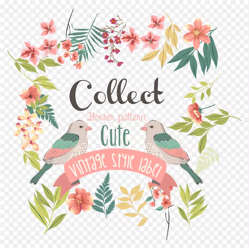 С���µ��쿨Ƭʸ��-������