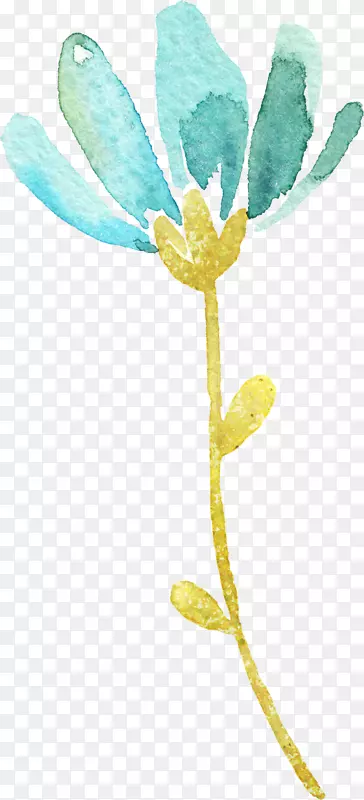 ��ɫˮ�ʻ���-������