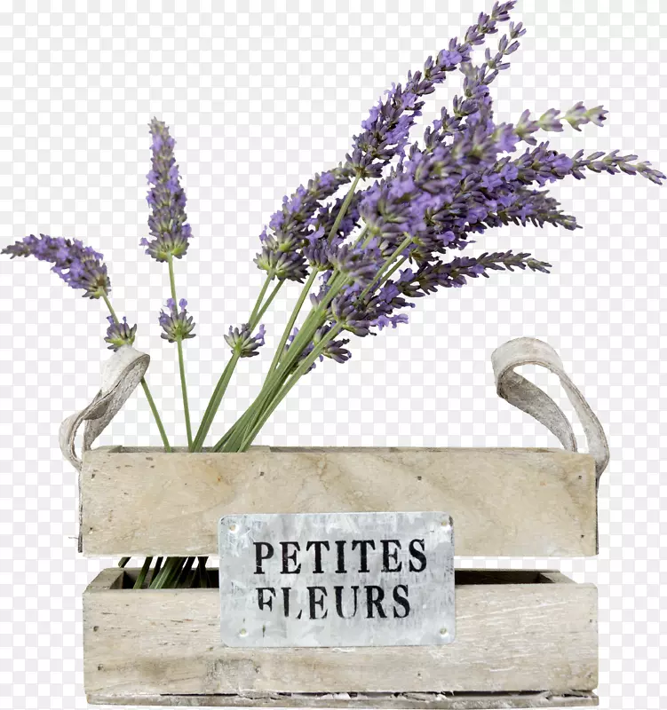 ޹�²ݻ�������ʵ��-������