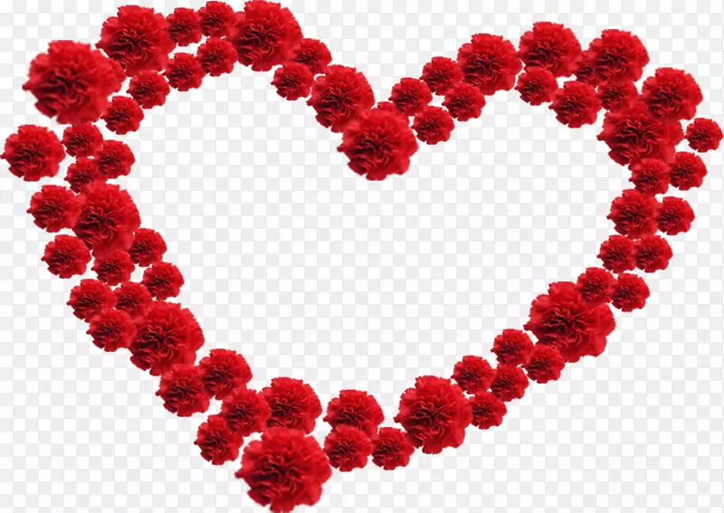 ��ɫ�ʻ�����ܰ����-������