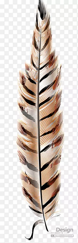 �ز� ͨ�� ʸ�� PNG ��ë-������