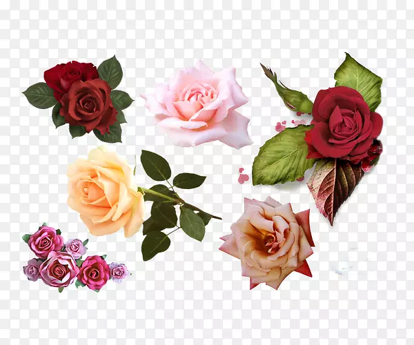 Ѥ������¼���װ��ͼ��-������