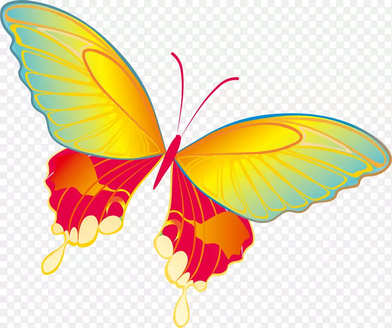 Ψ����ʺ���-������