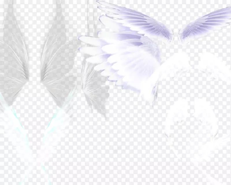 ���ȫ��-������