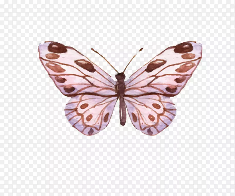 ��ɫ�׶�ɳɫ�ֻ�������-������