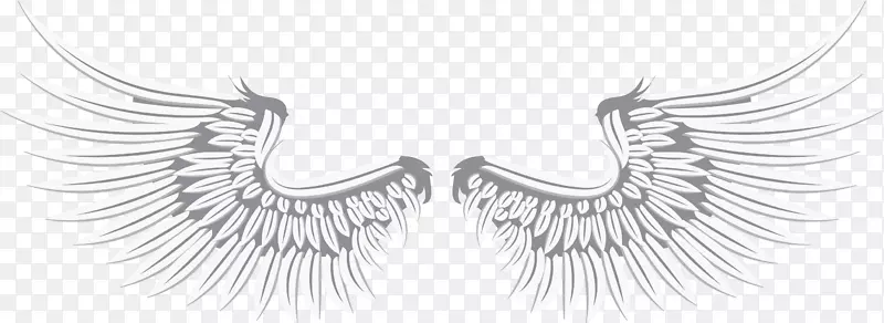 չ���ʸ����ɫ����-������