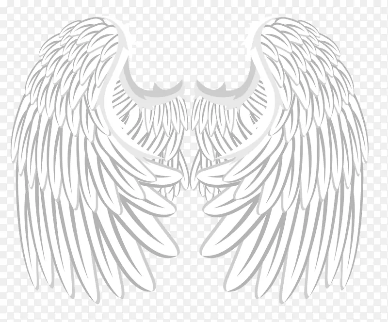 �Գư�ɫ����������-������