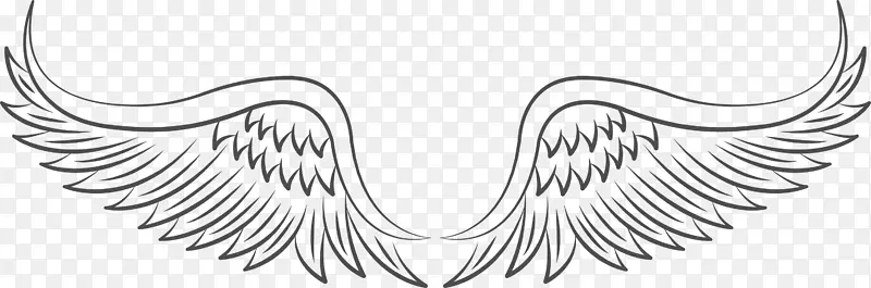 �Ұ�ɫ�ԳƵĳ������-������