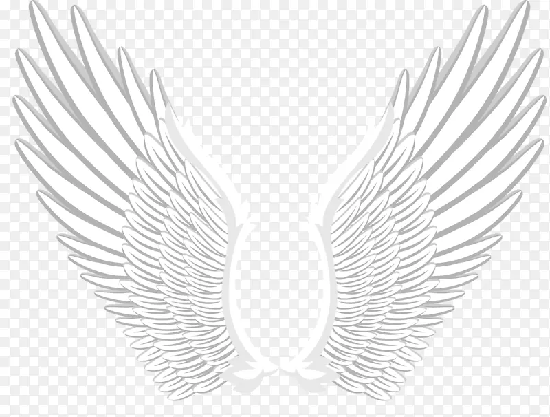 ��ɫ����ʸ����ͨ���-������