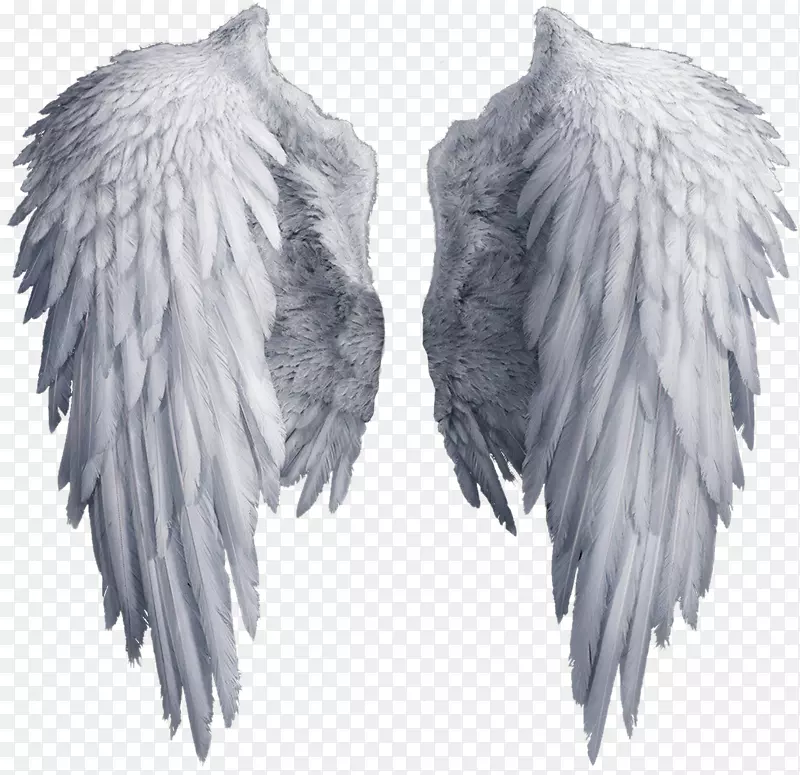 ��ͨ�ֻ������ĳ��-������