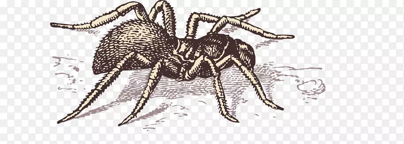 �ֻ�֩������ز�-������