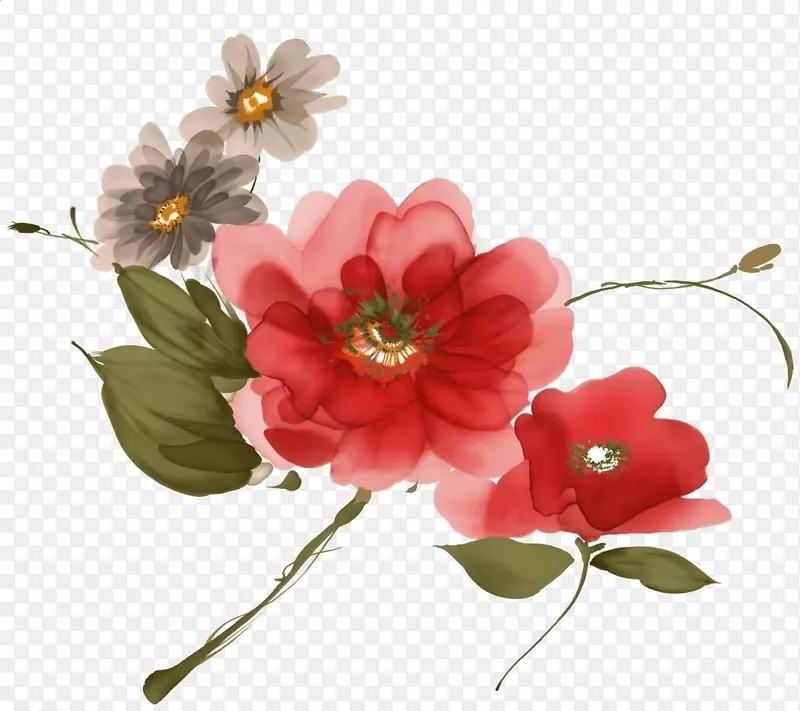 ����ܰ����-������