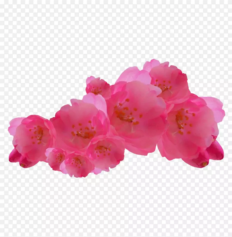 ��ɫ�һ�-������