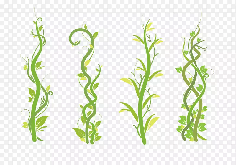 ��ɫ��������-������