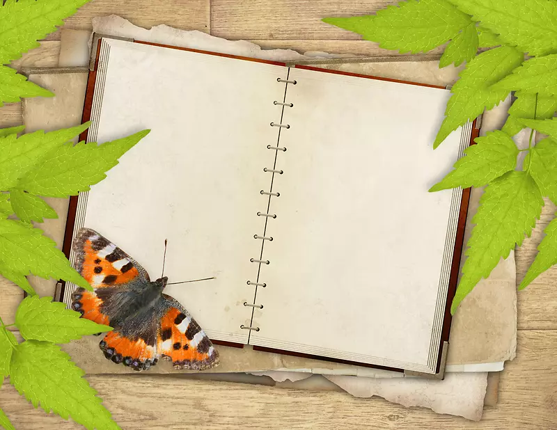 ��Ҷ��ʼǱ�����-������